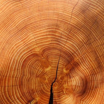 Pros and Cons of Wood Jewelry