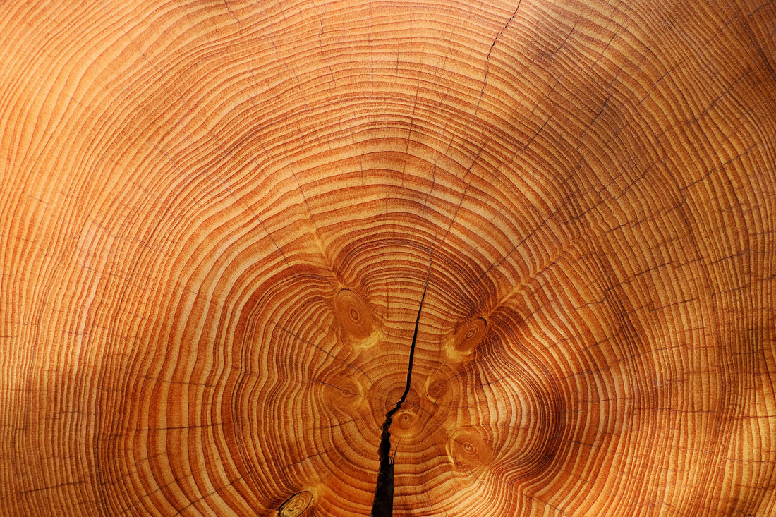 Pros and Cons of Wood Jewelry