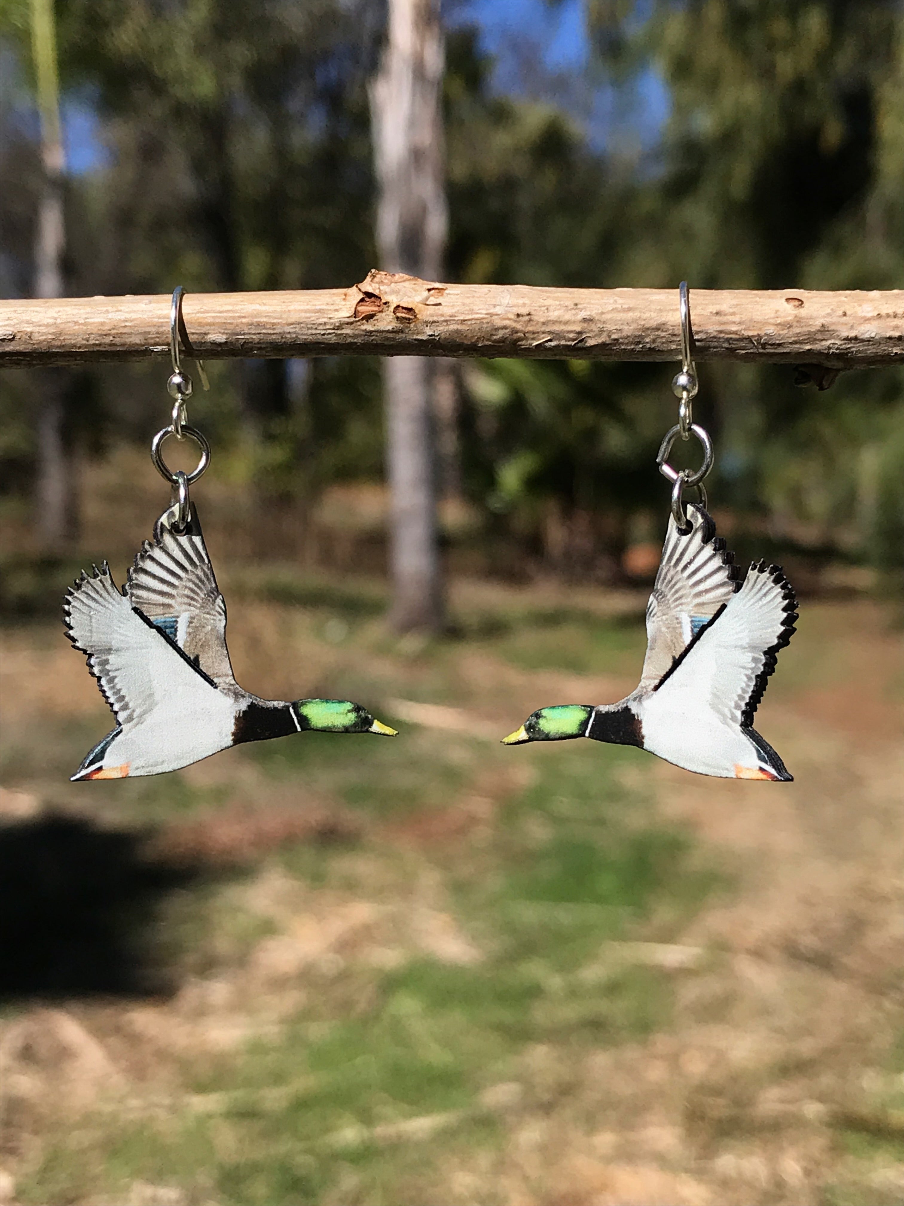Mallard Duck Earrings # 1397
