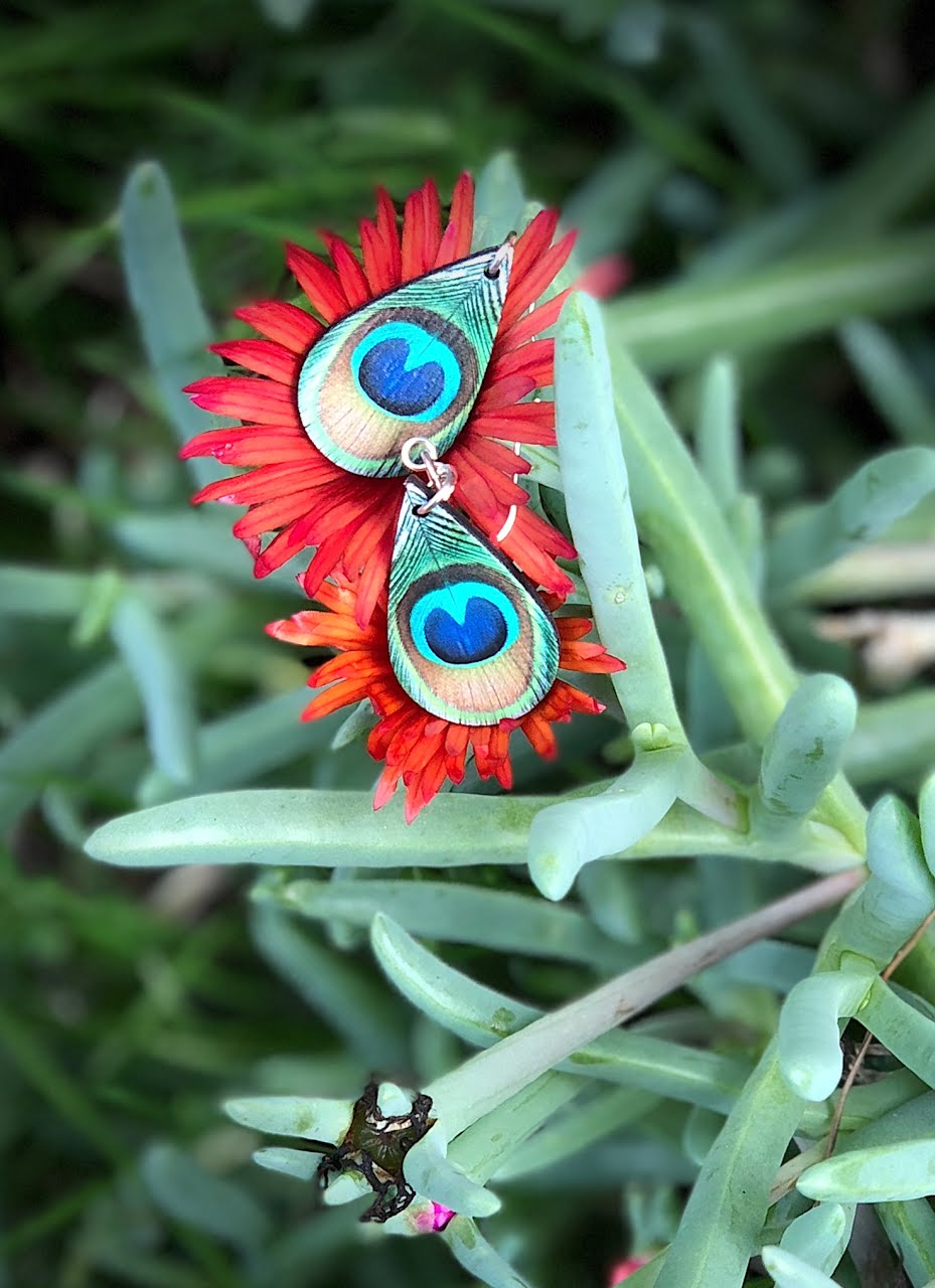Peacock Feather Earrings #1562