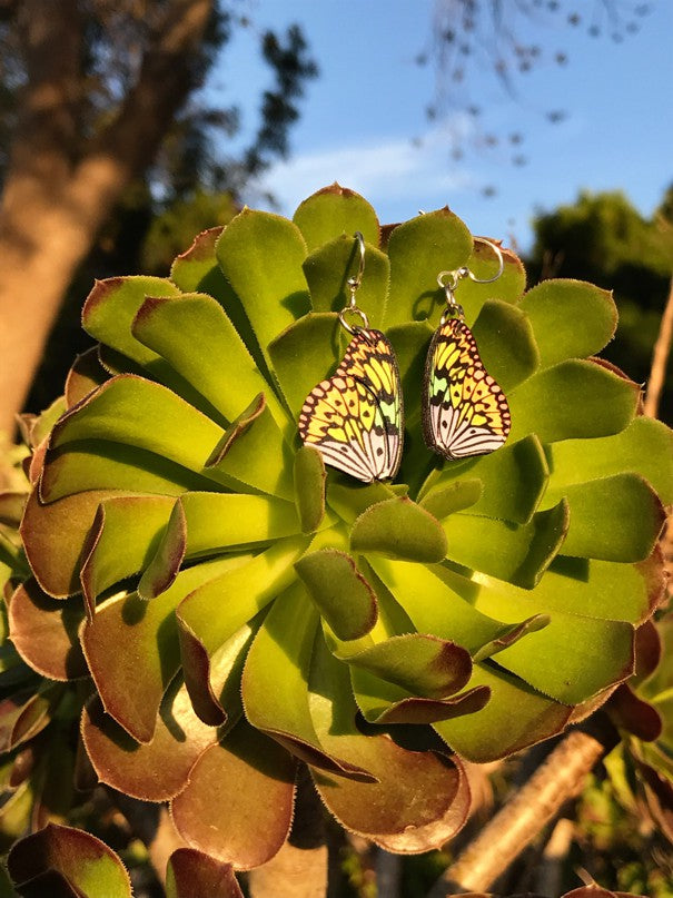 Brilliant Butterfly Wing Blossoms #170
