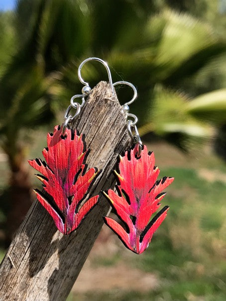 Indian Paint Brush Blossoms #174