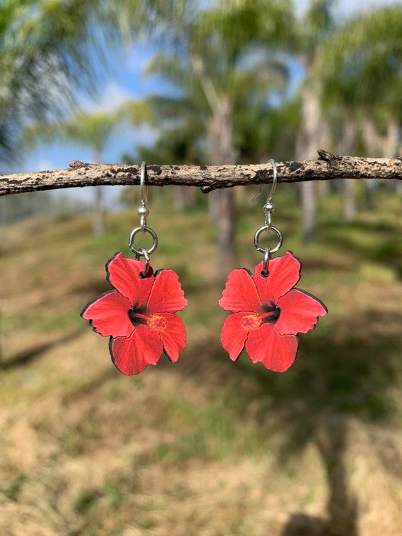 Hibiscus Flower Blossoms #192