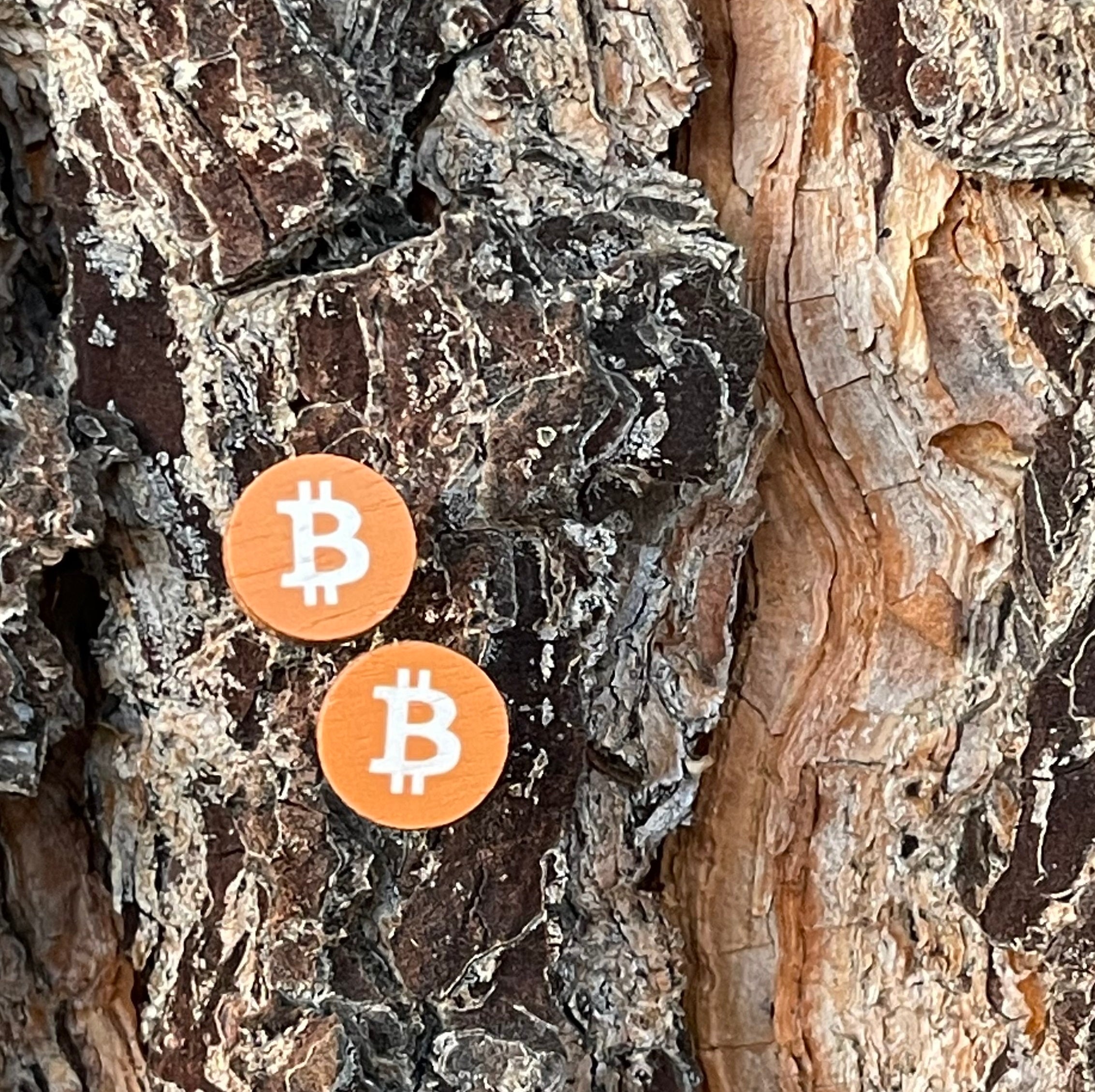 Bitcoin Stud Earrings #3079