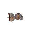 Conch Shell Stud Earrings #3085