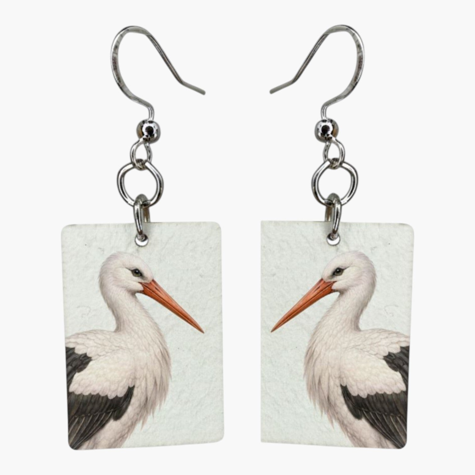 Fragile What | Zoo Bird Collection | #11x15
