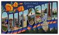 California State Jigsaw Puzzle - 144PCS - #S605