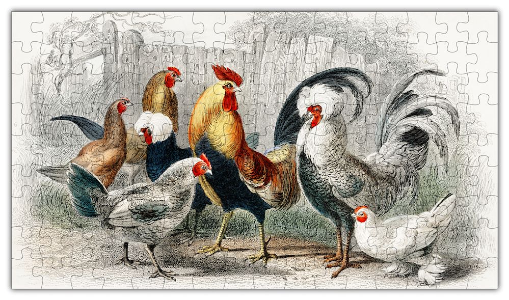 Rooster Puzzle - 144PCS - #6705