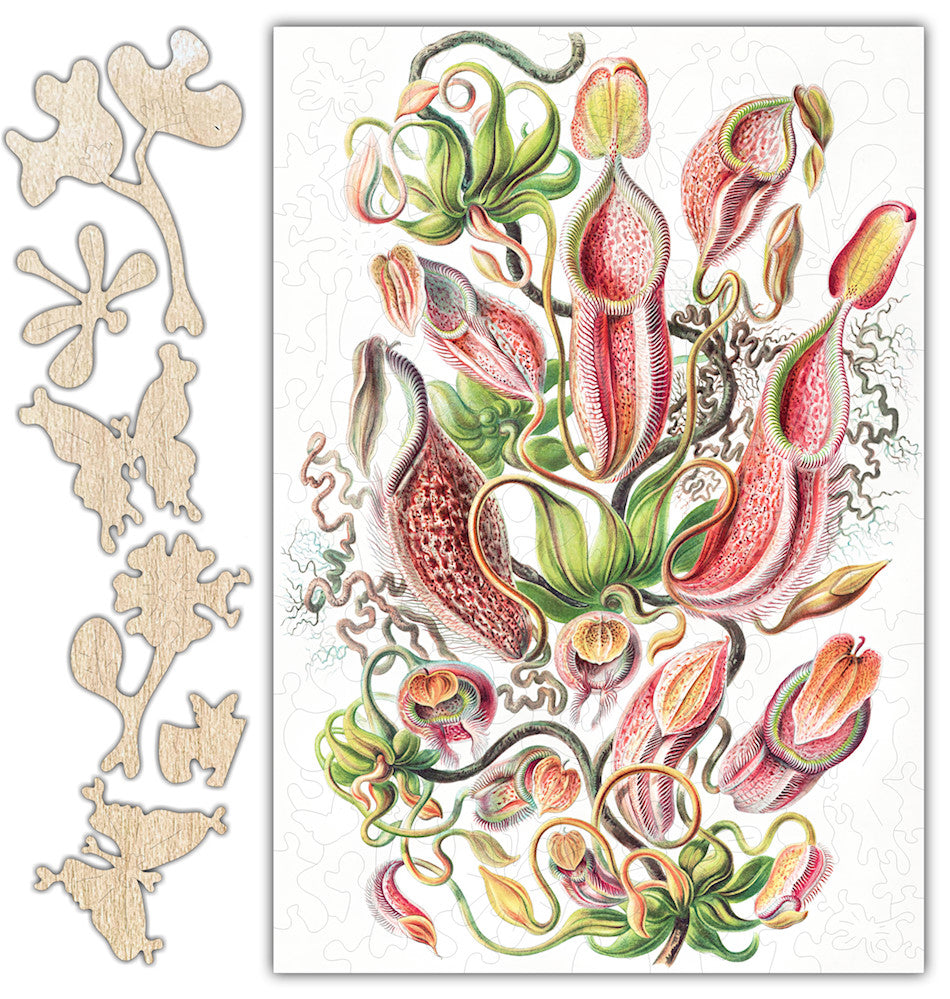 Haeckel's Nepenthaceae Plants Jigsaw Puzzle - 120PCS - #6763
