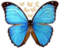 Butterfly Jigsaw Puzzle - 58PCS - #6809