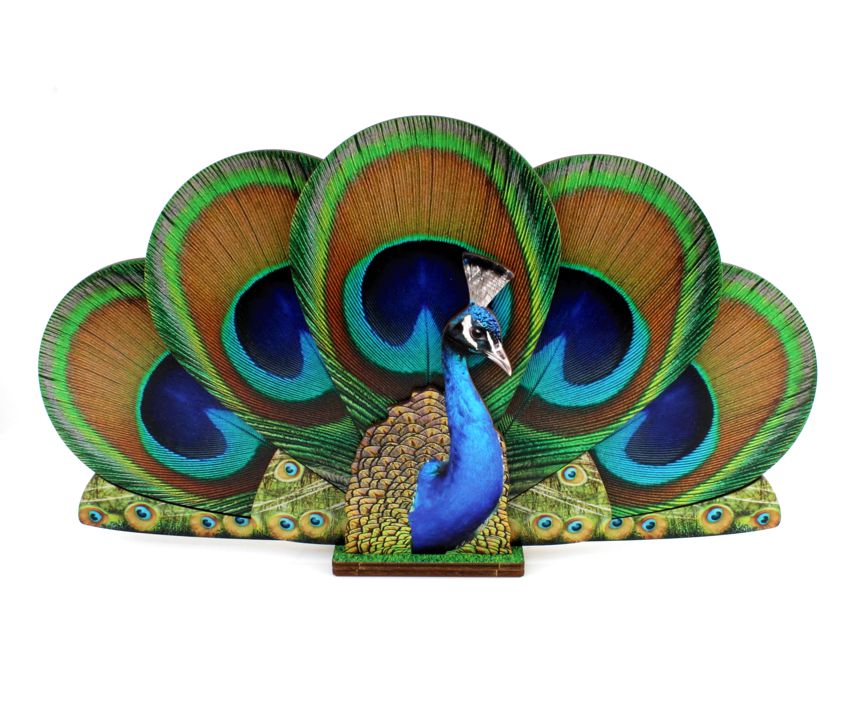 Peacock Coasters #8200