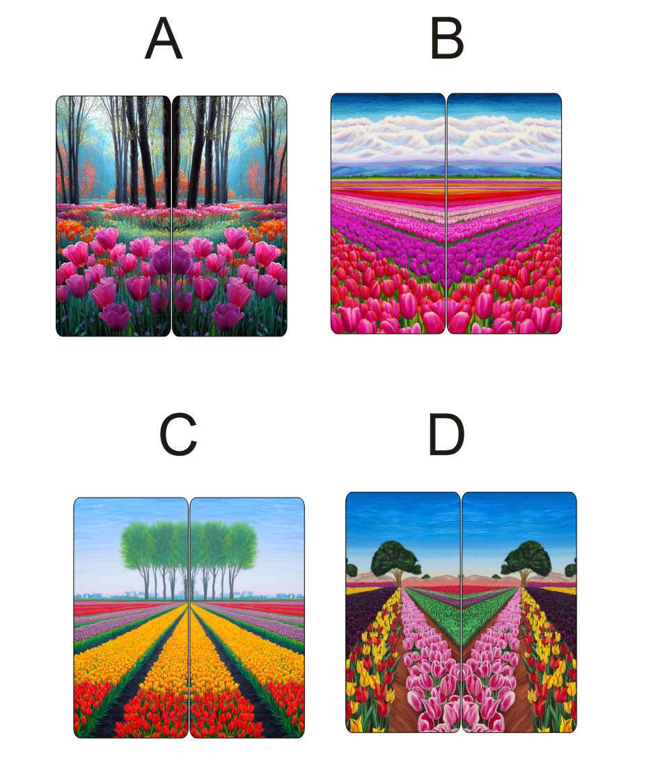 Fragile What | Tulip Field Collection | 8x13