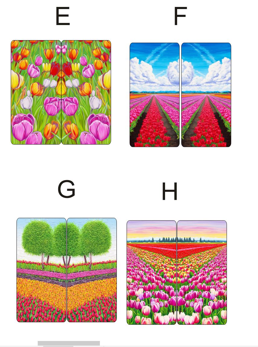Fragile What | Tulip Field Collection | 8x13