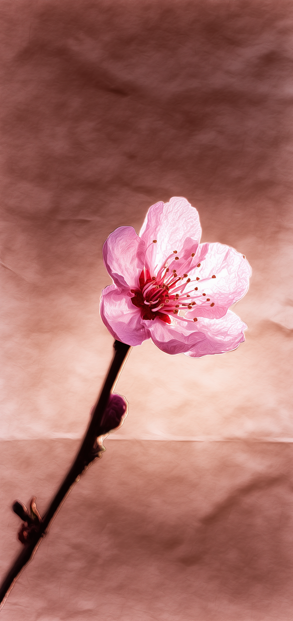 Kraft Paper Blossom Earrings