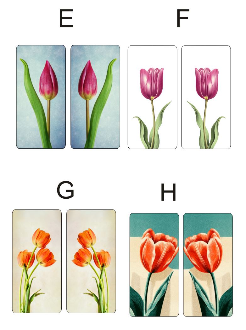 Fragile What | Tulip Collection | 8x15