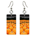 Folk Pumpkin Field Earrings