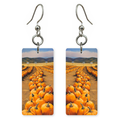 Pumpkin Patch Rows Earrings