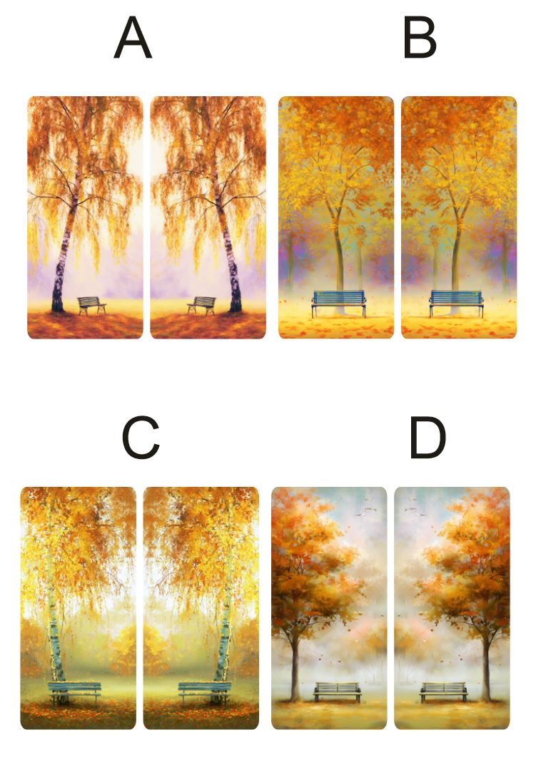 Fragile What | Fall Bench Collection | 8x20