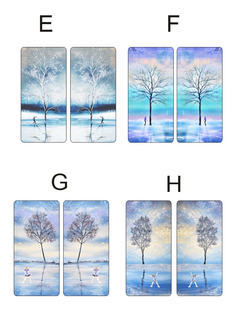 Fragile What | Winter Free Skate Collection | 8x21