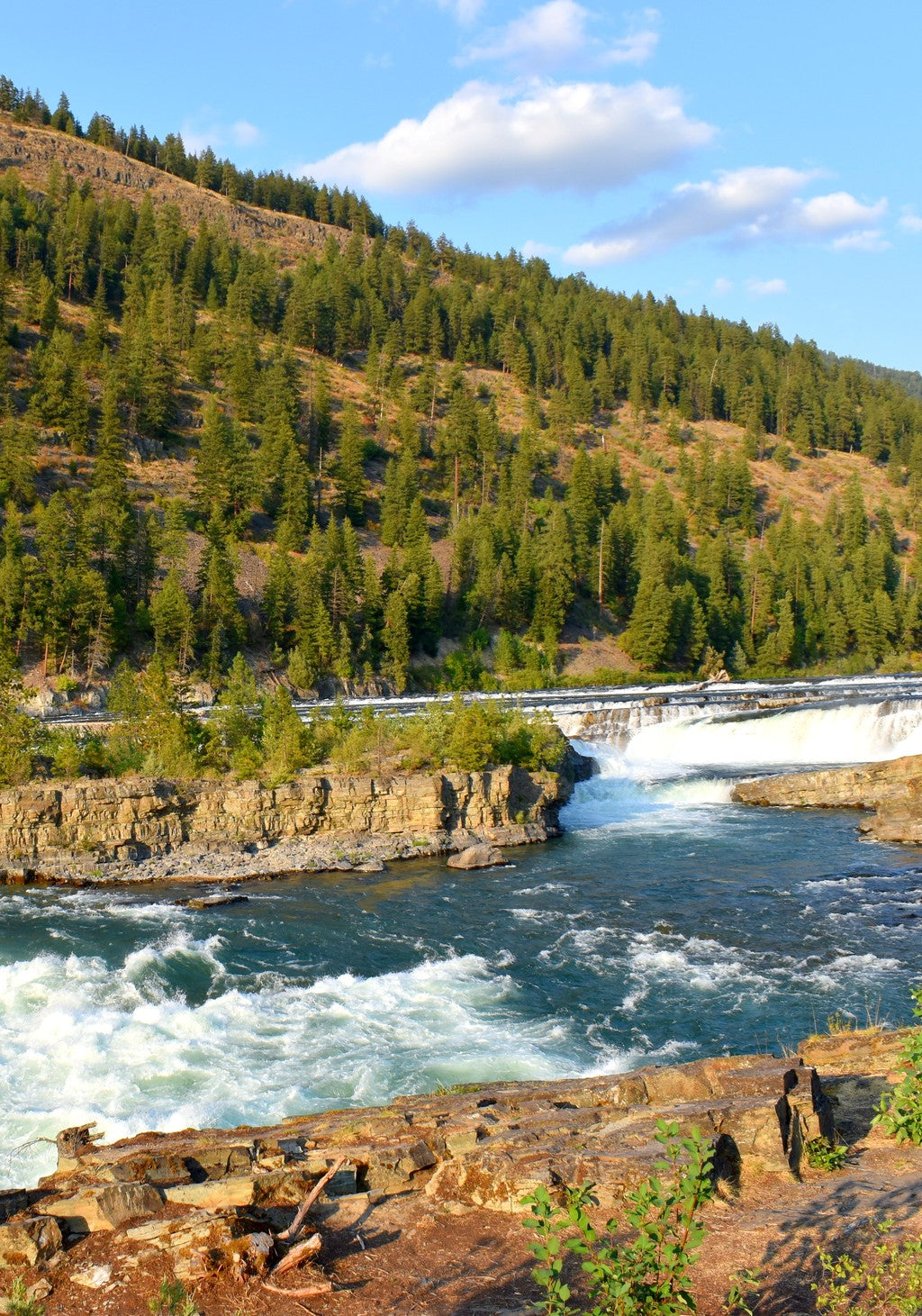 Kootenai Falls Rapids Custom Wood Earrings (CFWP40)