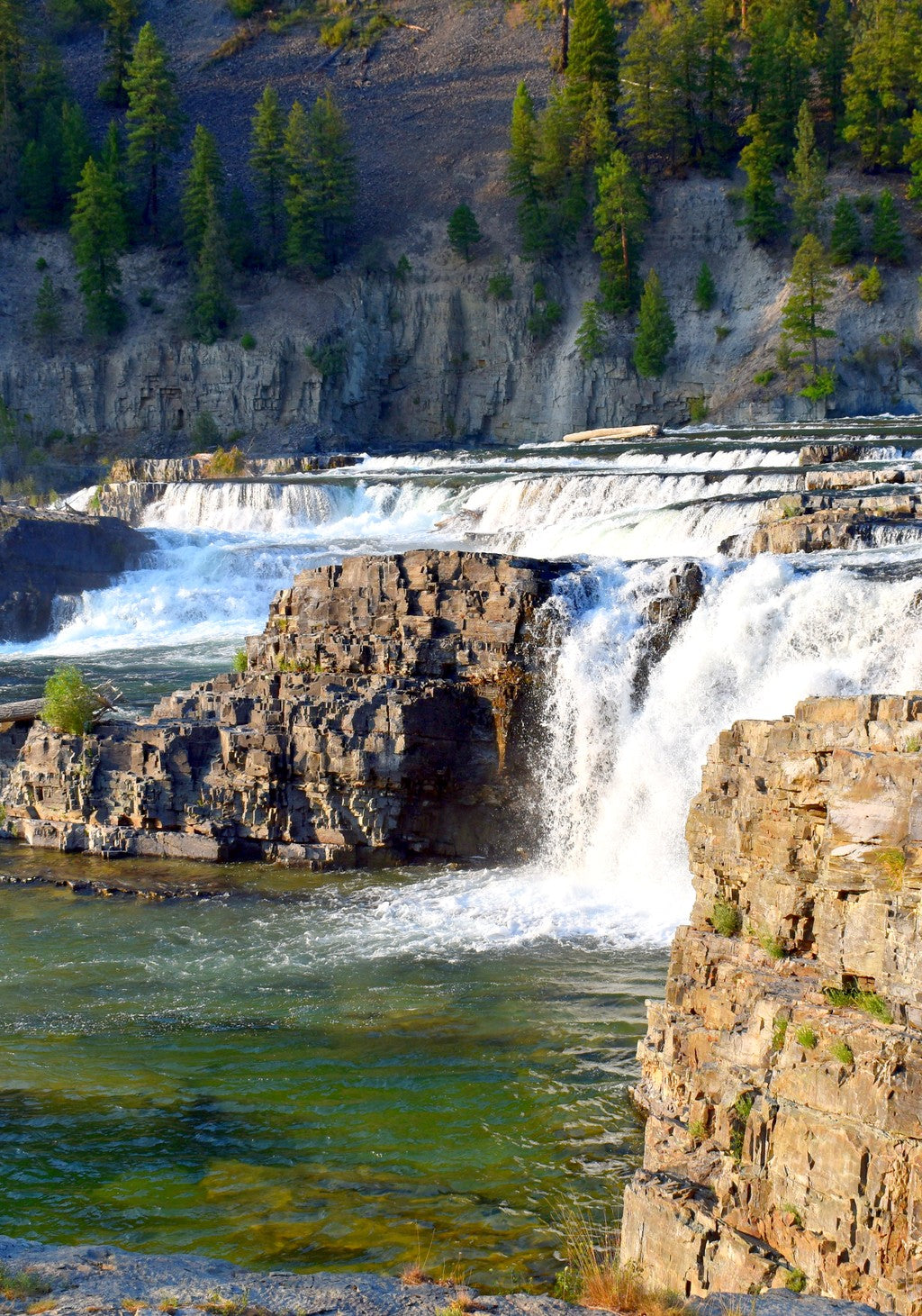Kootenai Falls Cascade Custom Wood Earrings (CFWP41)