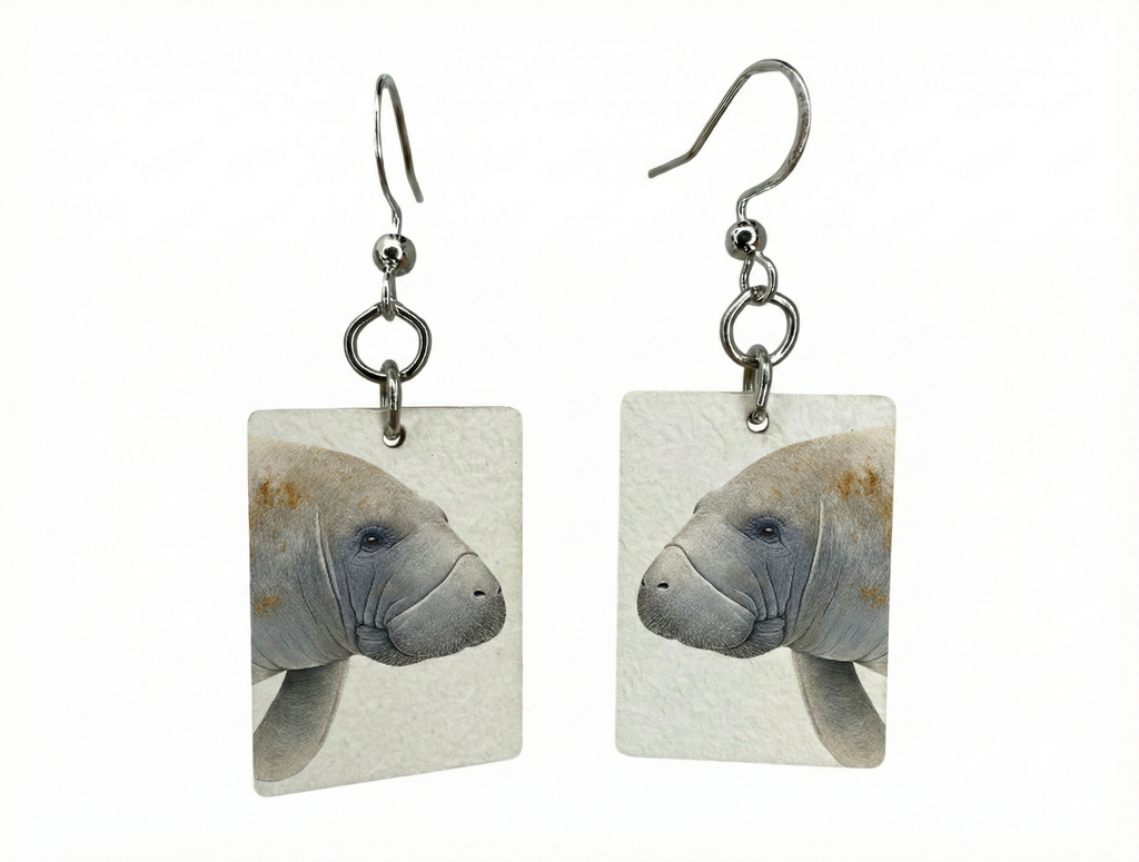 Fragile What | Tidewater Life Collection | #11x12