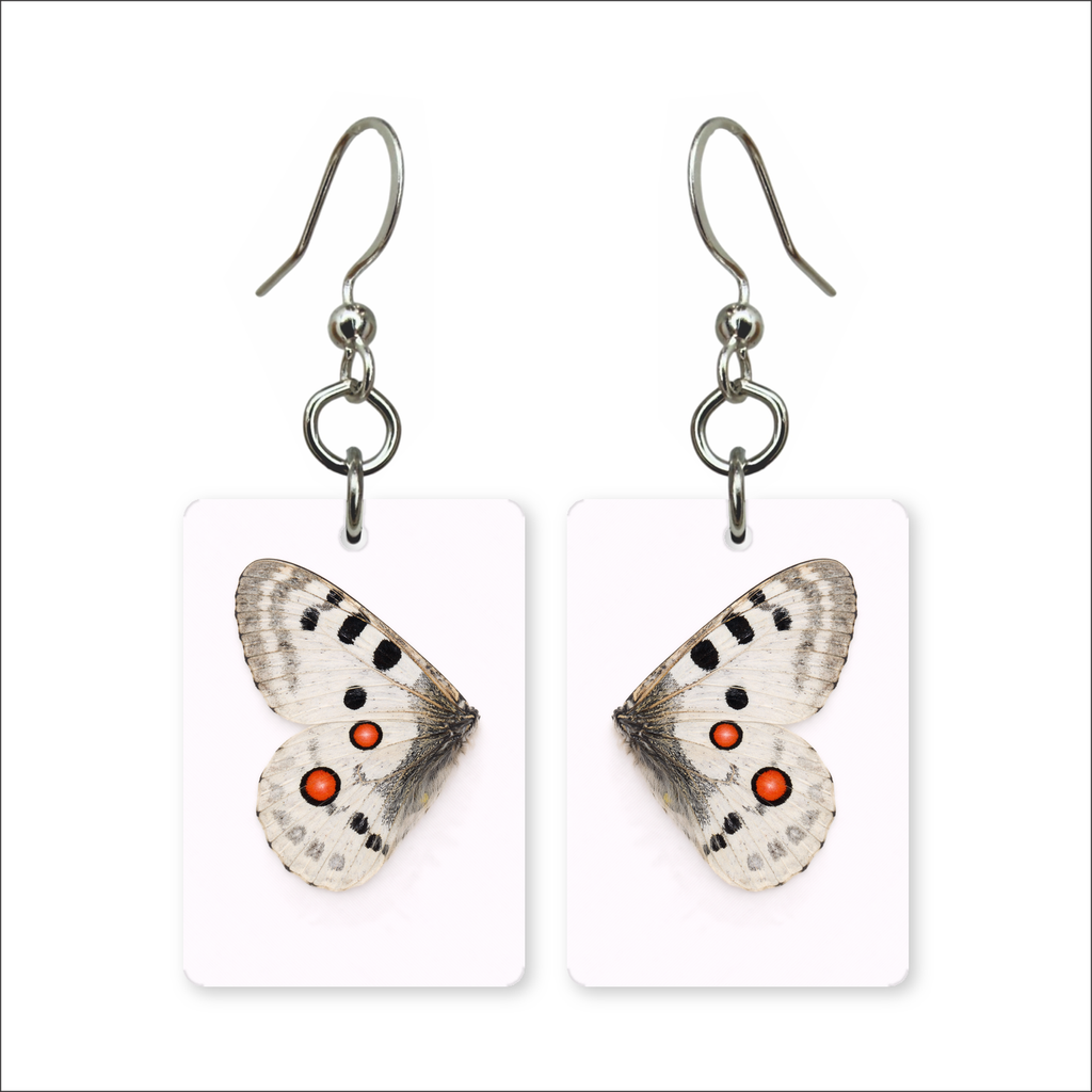 Apollo Wing Earrings