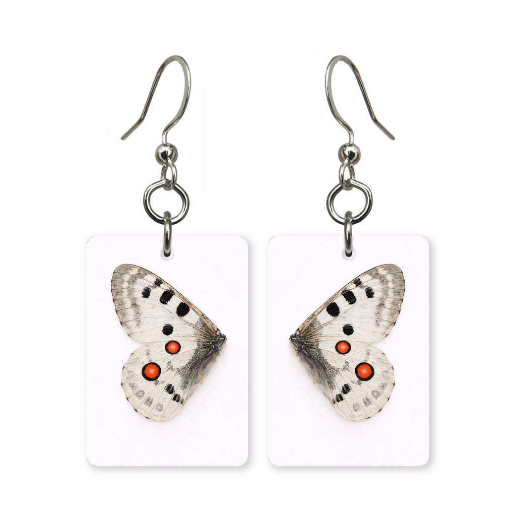 Apollo wing earrings — white butterfly wing with red spots, cut-paper art, made in USA