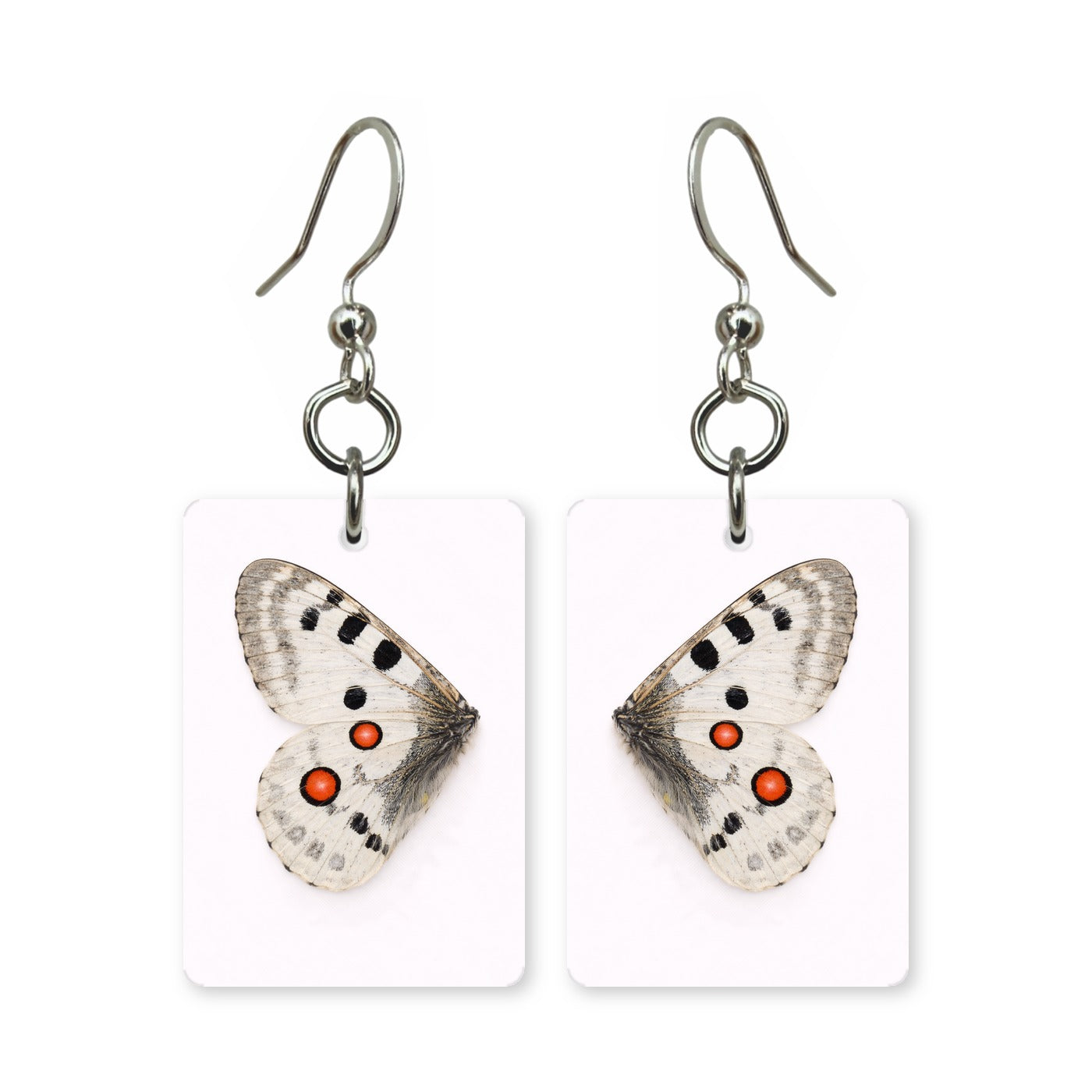 Apollo wing earrings — white butterfly wing with red spots, cut-paper art, made in USA