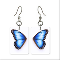 Blue Morpho Earrings