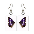 Purple Emperor Earrings