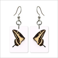 Golden Swallowtail Earrings