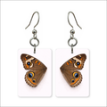 Common Buckeye Earrings