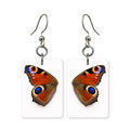 Peacock wing earrings — blue and green peacock feather eyes, cut-paper art, made in USA