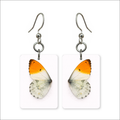 Orange Tip Earrings