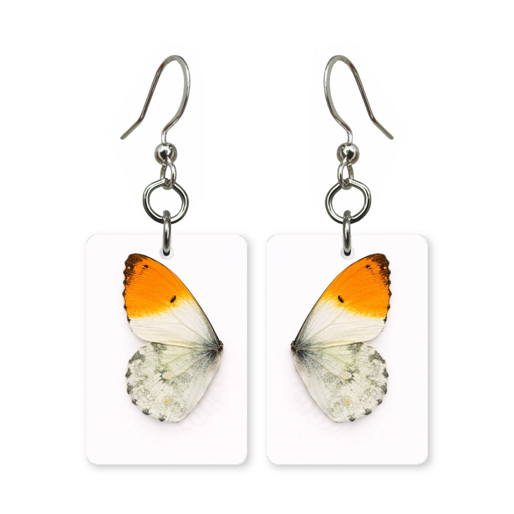 Orange tip butterfly earrings — white wing with bright orange tip, cut-paper art, made in USA