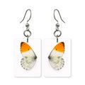 Orange tip butterfly earrings — white wing with bright orange tip, cut-paper art, made in USA