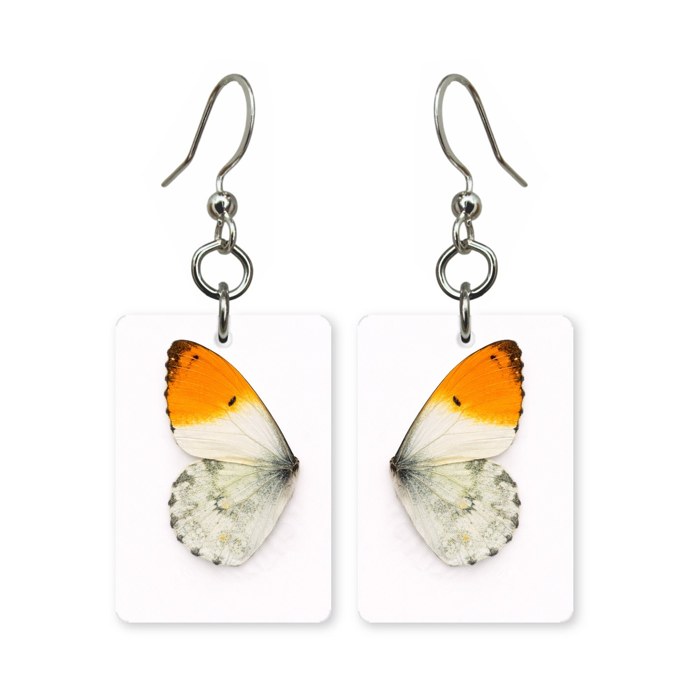 Orange tip butterfly earrings — white wing with bright orange tip, cut-paper art, made in USA