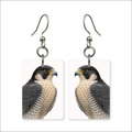 Peregrine Falcon Earrings