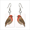 House Finch Earrings