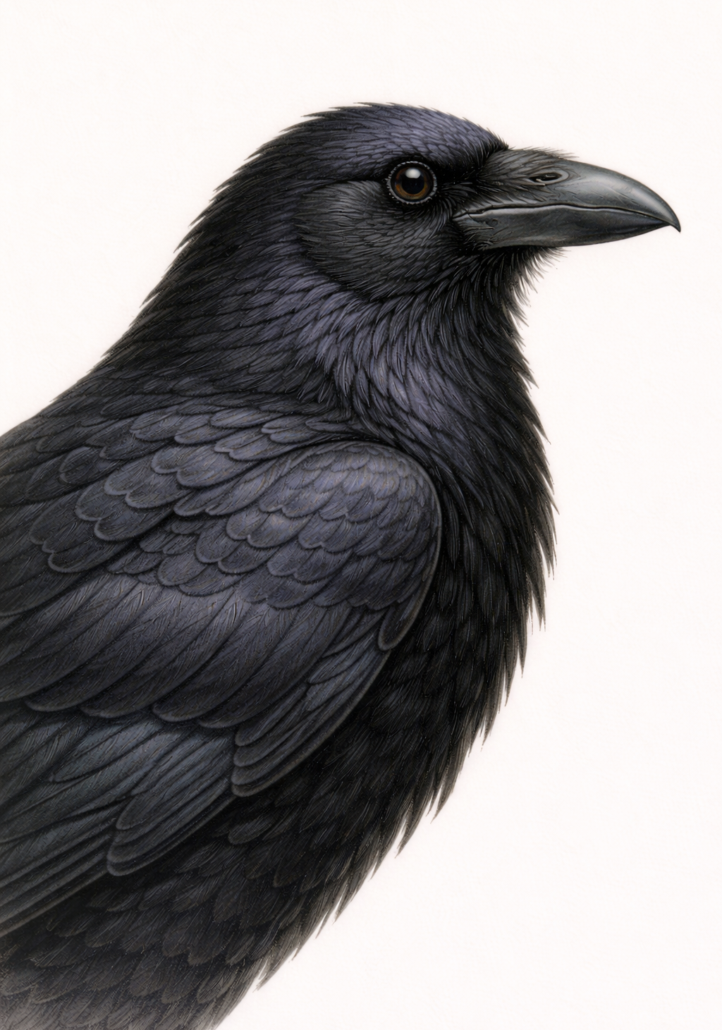 Midnight Raven Earrings