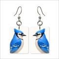 Blue Jay Earrings