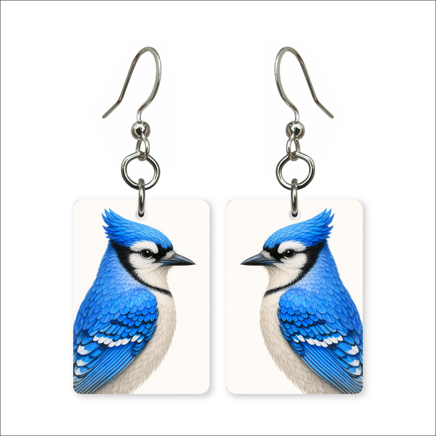 Blue Jay Earrings