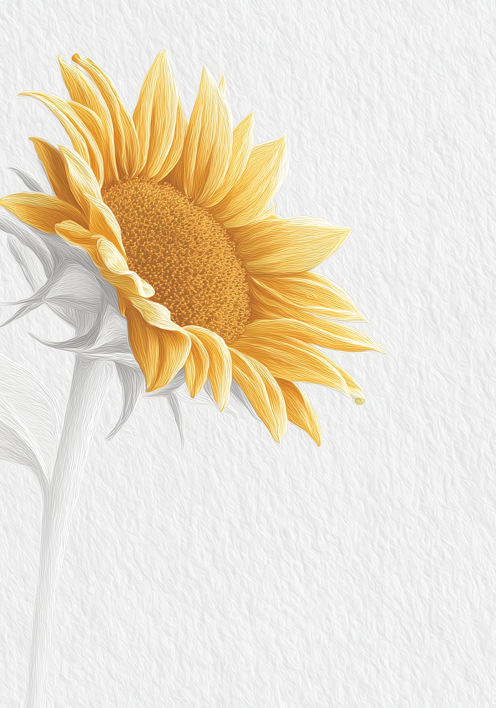 Soft Sunflower Earrings