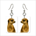Curious Meerkat Earrings