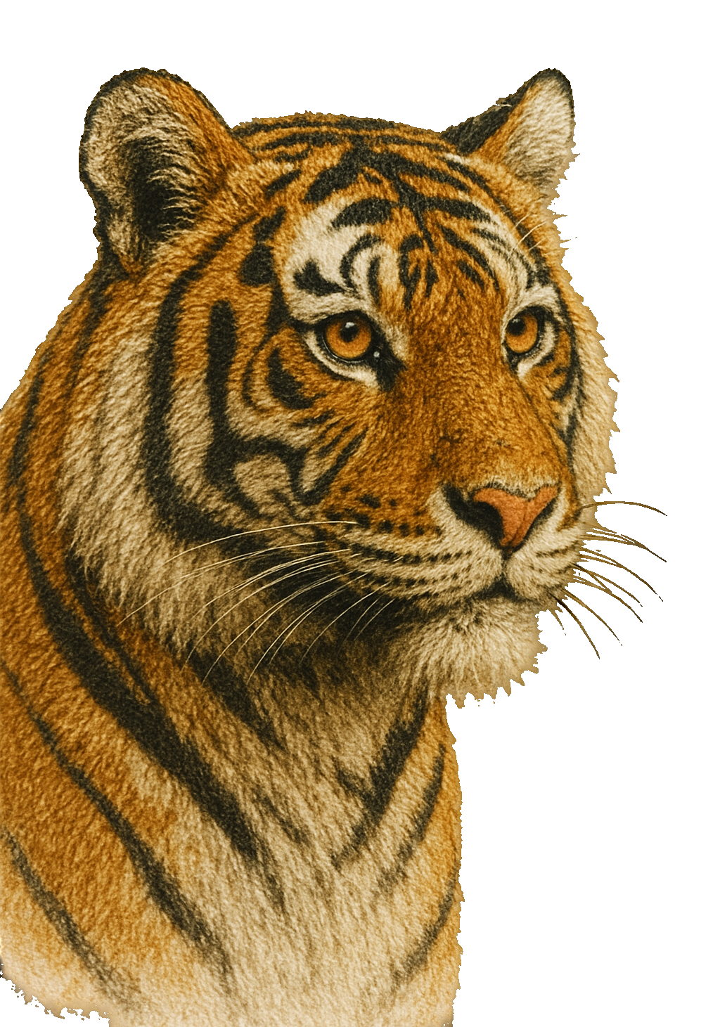 Bengal Tiger Earrings