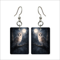 Moonlit Owl Earrings