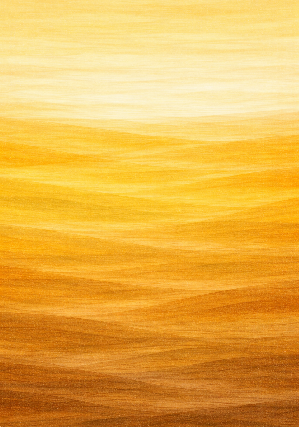 Golden Horizon Earrings | FW125F
