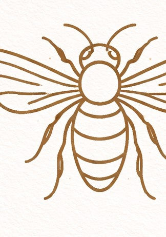 Line Drawn Bee Earrings | FW128E