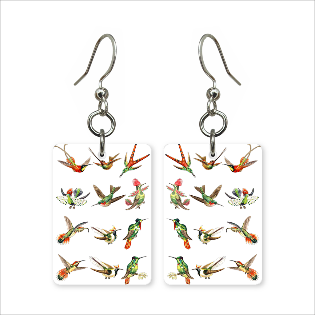 Hummingbird Study Earrings
